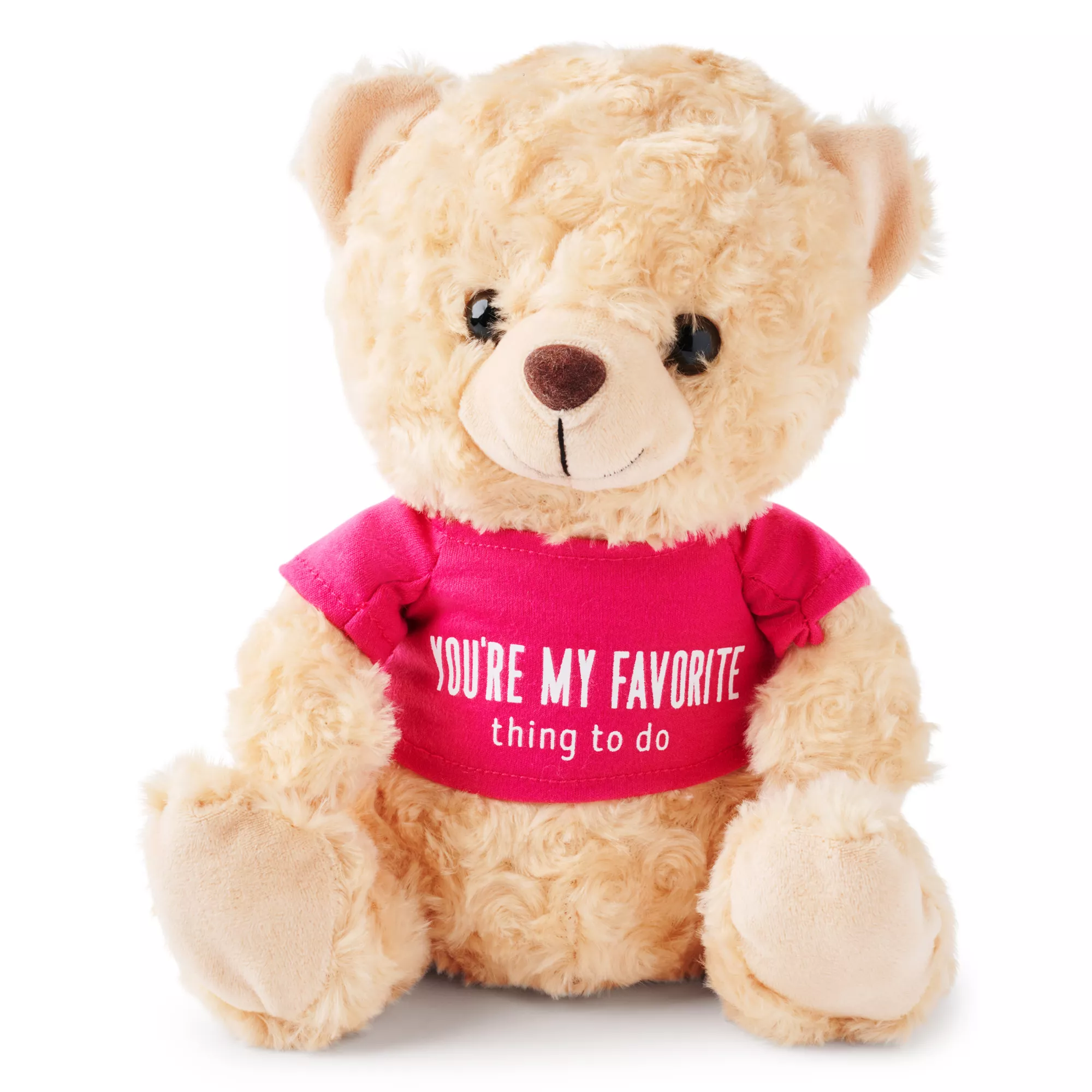 You're My Favorite Teddy Bear at Spencer's