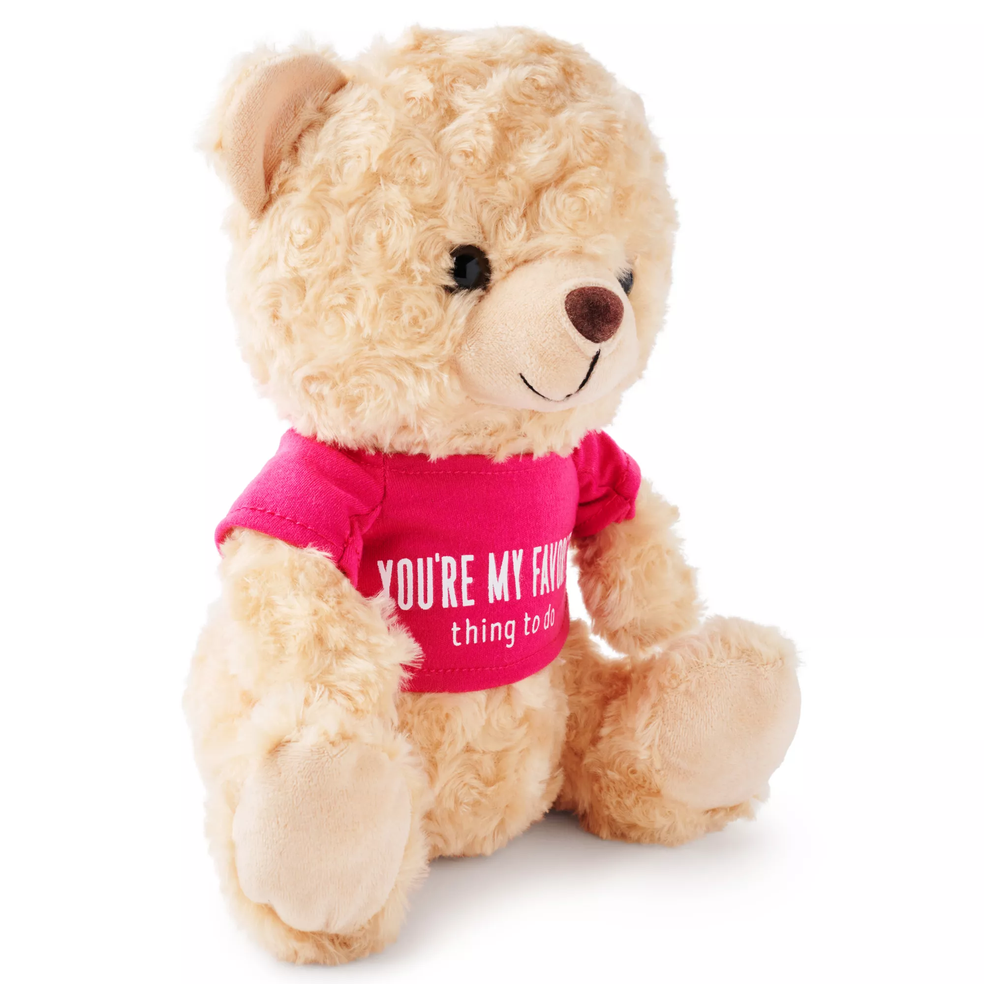 You're My Favorite Teddy Bear at Spencer's