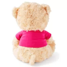 You're My Favorite Teddy Bear at Spencer's