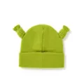 3D Shrek Beanie Hat at Spencer's