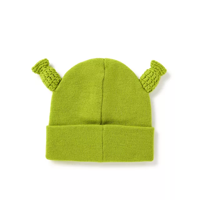 3D Shrek Beanie Hat at Spencer's