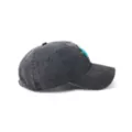 Agent P Patch Dad Hat - Phineas and Ferb at Spencer's