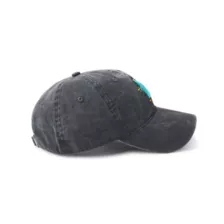 Agent P Patch Dad Hat - Phineas and Ferb at Spencer's