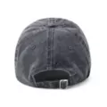 Agent P Patch Dad Hat - Phineas and Ferb at Spencer's