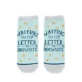 Blue Harry Potter No Show Socks - 5 Pack at Spencer's