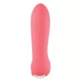 Oona Mighty Bullet Vibrator at Spencer's