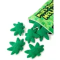 Mary Jane's Mellows Mini Pillow Set at Spencer's