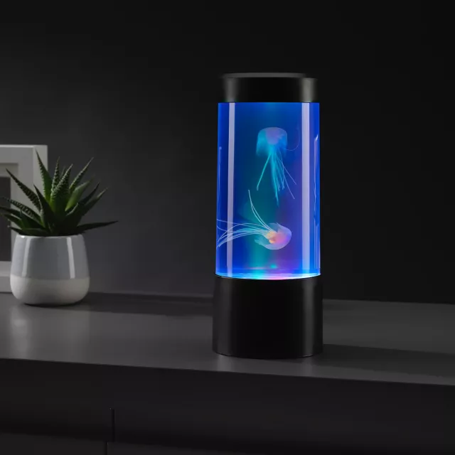 Mini Jelly Fish Tank