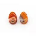 Carnelian Stone Oval Plugs at Spencer's