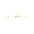 Multi-Pack CZ Silvertone and Goldtone Ornate Circle L-Bend Nose Rings 6 Pack - 20 Gauge at Spencer's