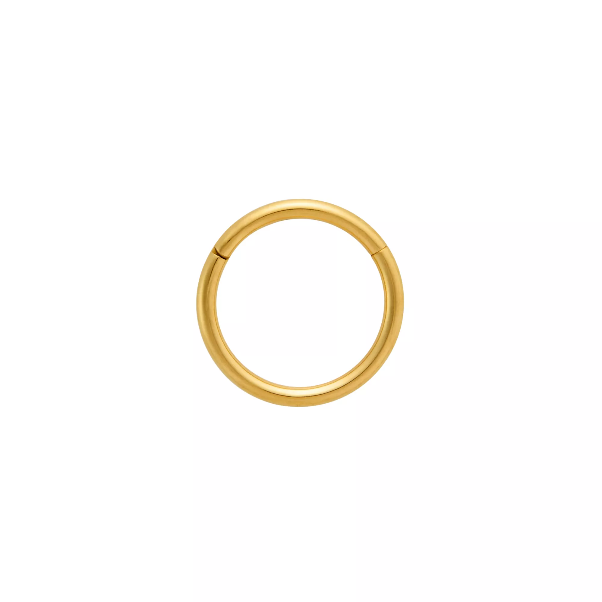 Goldplated Simple Hinge Hoop Septum Ring - 16 Gauge at Spencer's