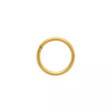 Goldplated Simple Hinge Hoop Septum Ring - 16 Gauge at Spencer's