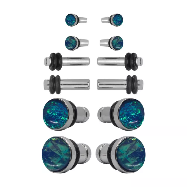 Multi-Pack Silvertone Resin Plug Set at Spencer's