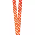 Raisins at Play Lanyard - South Park at Spencer's
