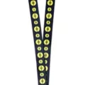 Kanto Region Pikachu Lanyard - Pokémon at Spencer's