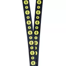 Kanto Region Pikachu Lanyard - Pokémon at Spencer's
