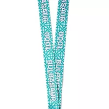 Reversible Bulbasaur Lanyard - Pokémon at Spencer's