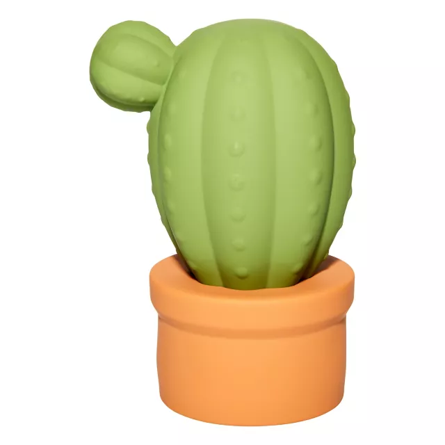 cactus sex toy Cactus main image 1
