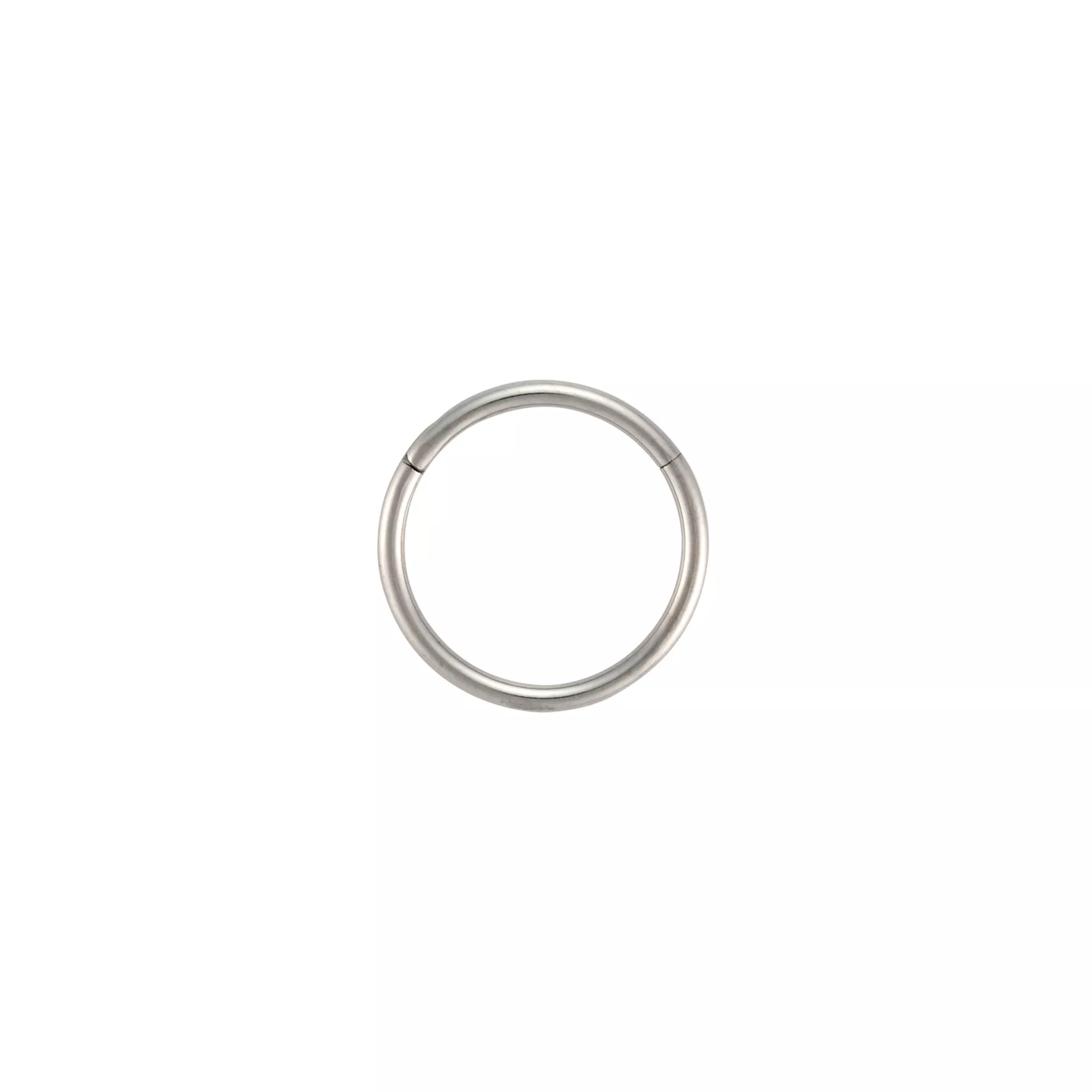 Silver-Plated Titanium Hinged Hoop Ring - 20 Gauge at Spencer's