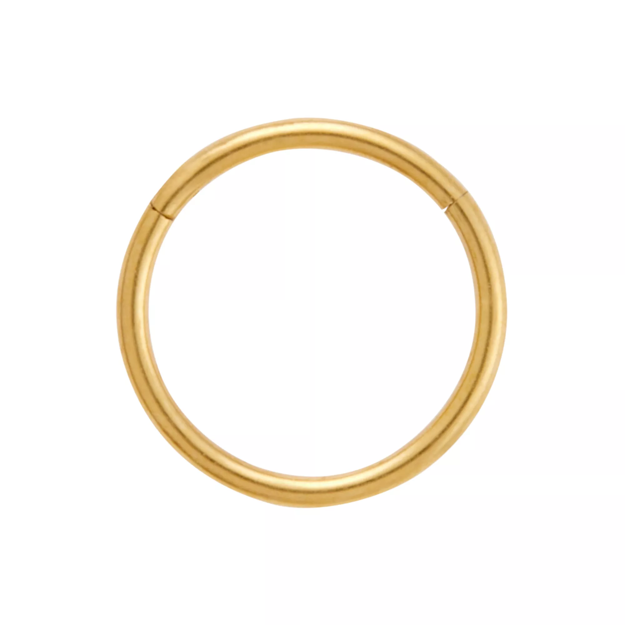 Gold-Plated Titanium Hinged Hoop Ring at Spencer's