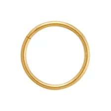 Gold-Plated Titanium Hinged Hoop Ring at Spencer's