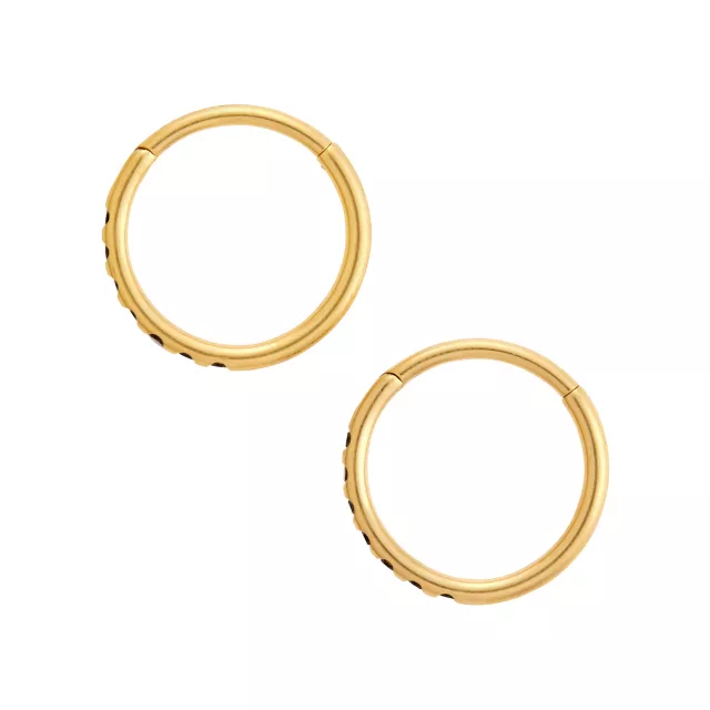 CZ Goldtone Black Titanium Hinged Hoop Rings - 18 Gauge at Spencer's