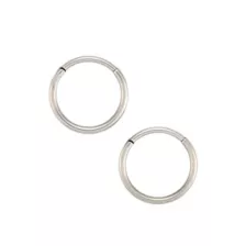 Simple Titanium Hinge Hoops 2 Pack - 18 Gauge at Spencer's