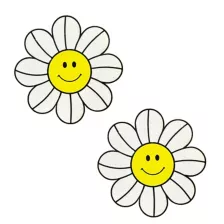 Smiley Daisy Nipple Pasties at Spencer's