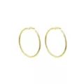 Goldtone Thin Hoop Earrings at Spencer's