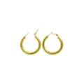 Goldtone Thick Hoop Earrings at Spencer's