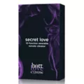 Secret Love Remote Control Panty Vibrator 3.0 - Hott Love Extreme at Spencer's