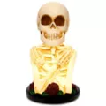 Light-Up Skeleton Lamp at Spencer's