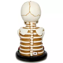 Light-Up Skeleton Lamp at Spencer's