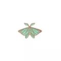 Glitter Moth Pin at Spencer's