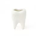 Tooth Molded Shot Glass - 2 oz. at Spencer's