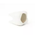 Tooth Molded Shot Glass - 2 oz. at Spencer's