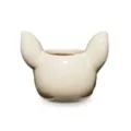 Cat Skull Molded Shot Glass - 1.5 oz. at Spencer's