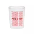 Thank You Fuck You Square Shot Glass - 1.5 oz. at Spencer's