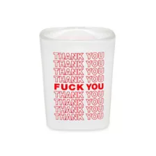 Thank You Fuck You Square Shot Glass - 1.5 oz. at Spencer's