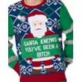 Light-Up Santa Knows You've Been a Bitch Christmas Sweater at Spencer's