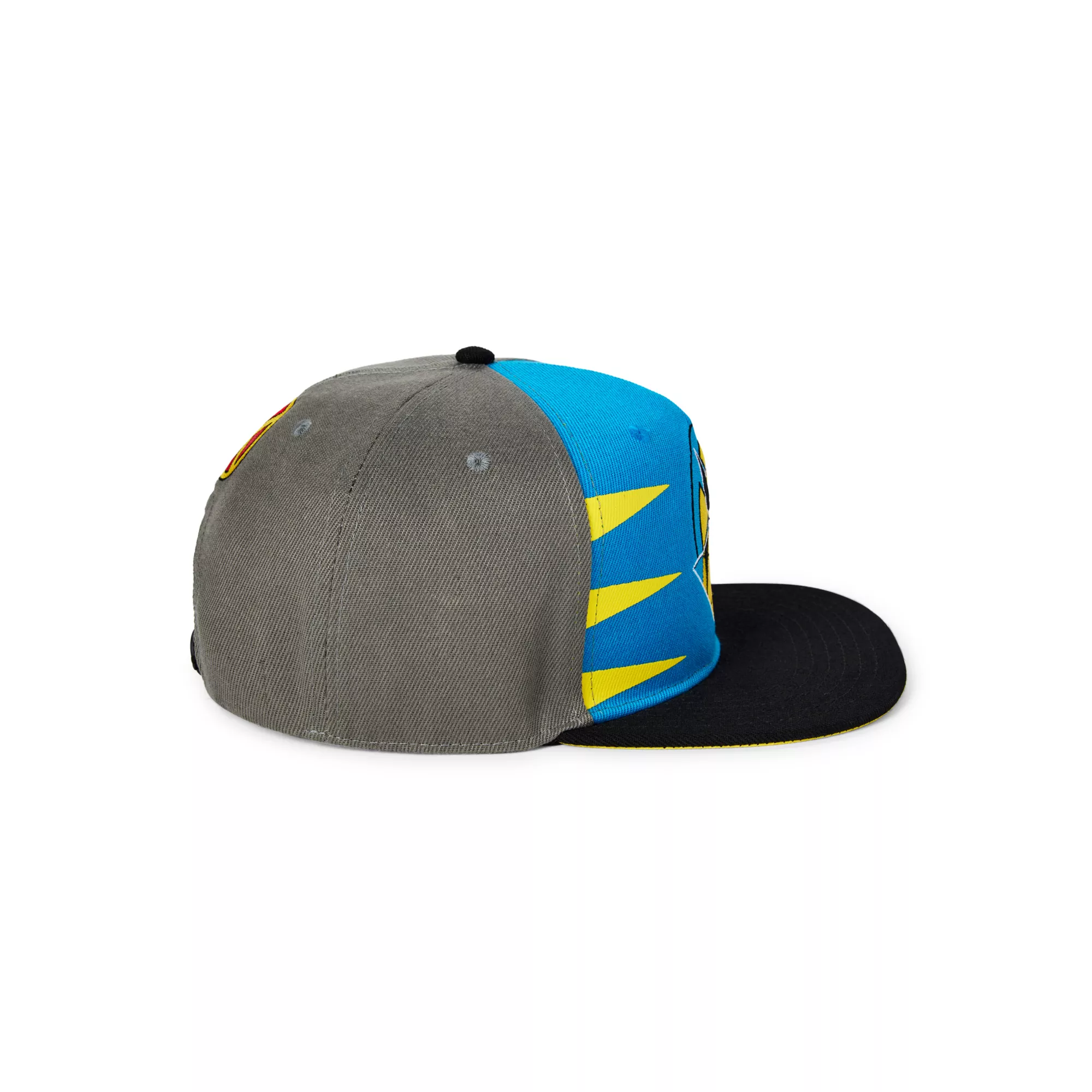 Wolverine Stripe Snapback at Spencer's