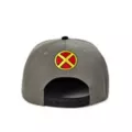 Wolverine Stripe Snapback at Spencer's