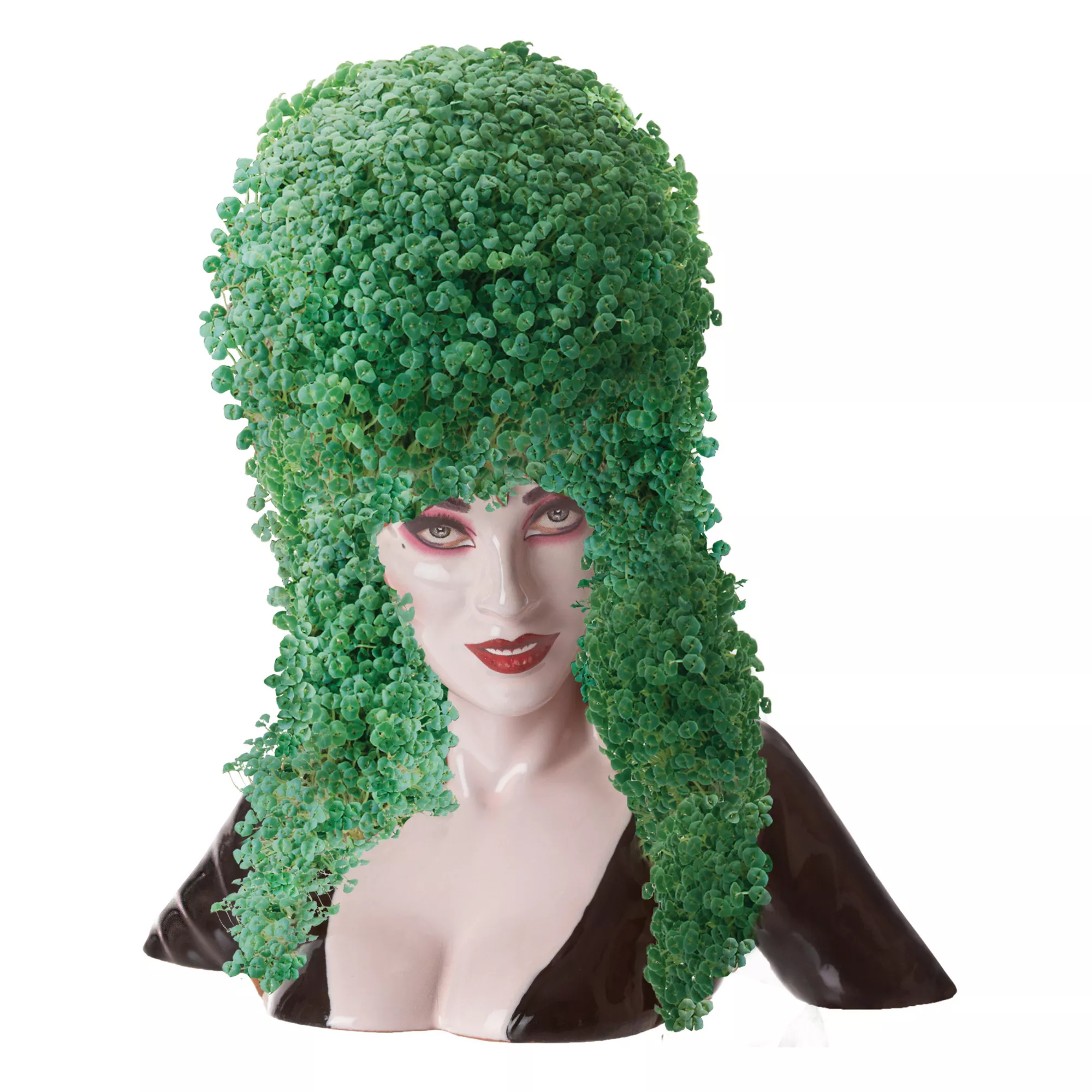 Elvira Chia Pet at Spencer's