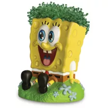 SpongeBob SquarePants Chia Pet at Spencer's