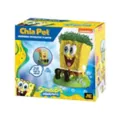 SpongeBob SquarePants Chia Pet at Spencer's