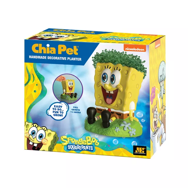 SpongeBob SquarePants Chia Pet at Spencer's