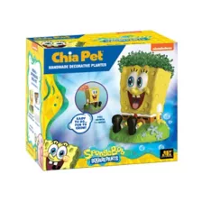 SpongeBob SquarePants Chia Pet at Spencer's