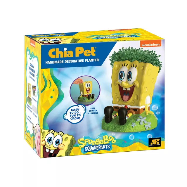 SpongeBob SquarePants Chia Pet at Spencer's