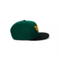 Zelda Hyrule Crest Snapback Hat - Nintendo at Spencer's