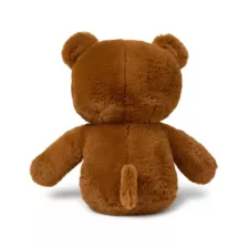 Brown Skeleton Bear Plush at Spencer's